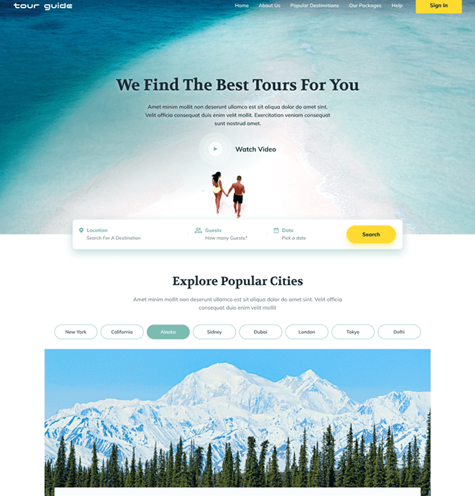 Web Developer preview 1